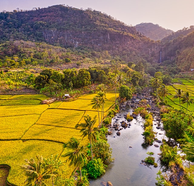 Momentum Pelantikan Presiden