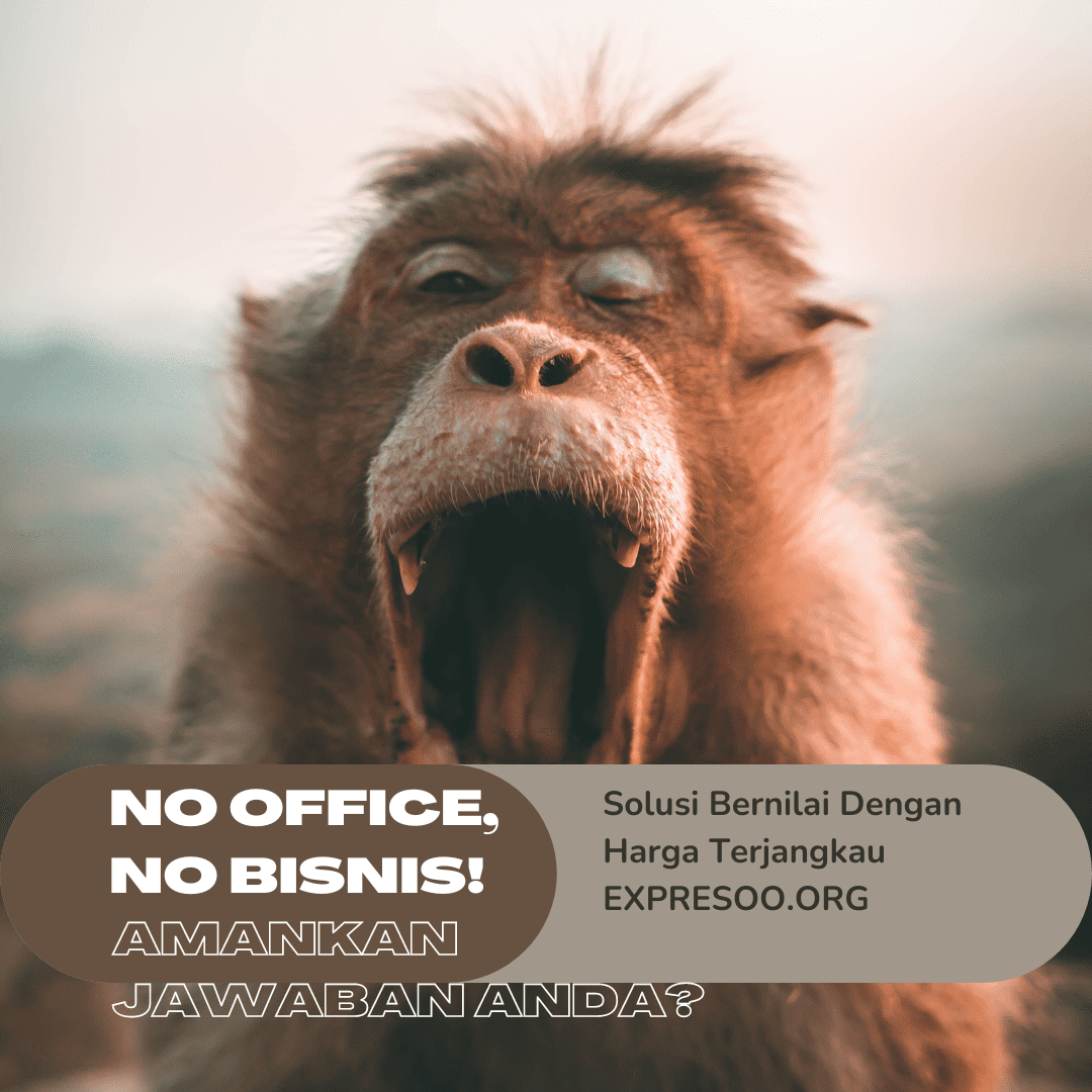 Solus Menabung di Expresoo